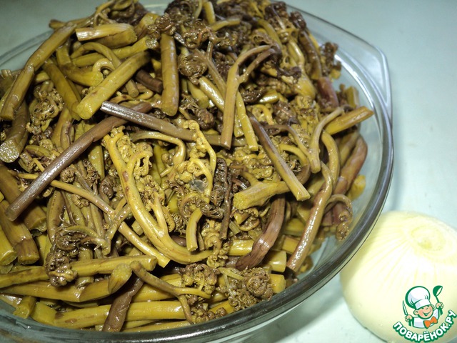 Папоротник с фасолью