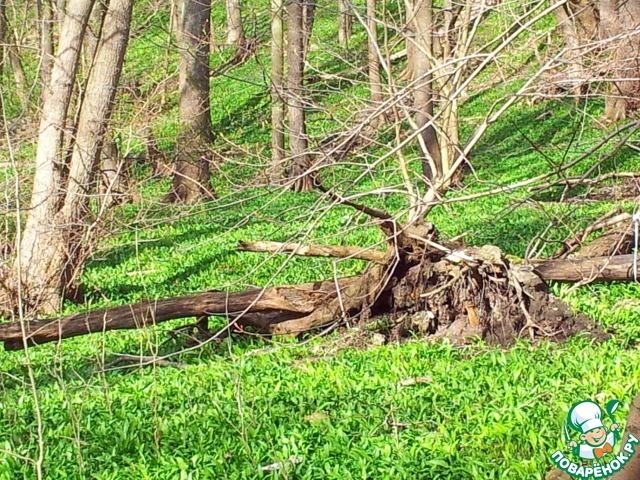 Пхали из свеклы и брокколи