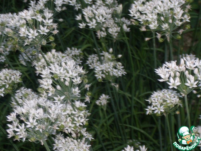 Фунчоза с мидиями и сельдереем