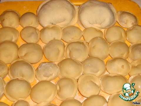 Russian dumplings of mixed minced meat