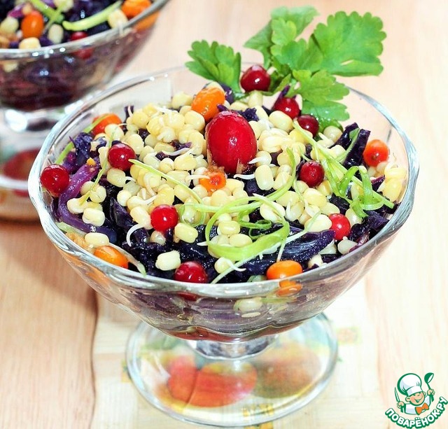 Salad of red cabbage with mung beans