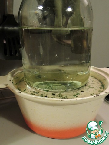 Малосольные огурцы 