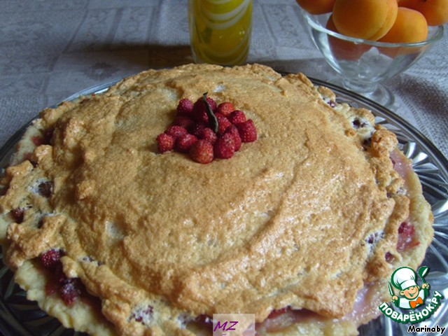 Vienna fruit pie