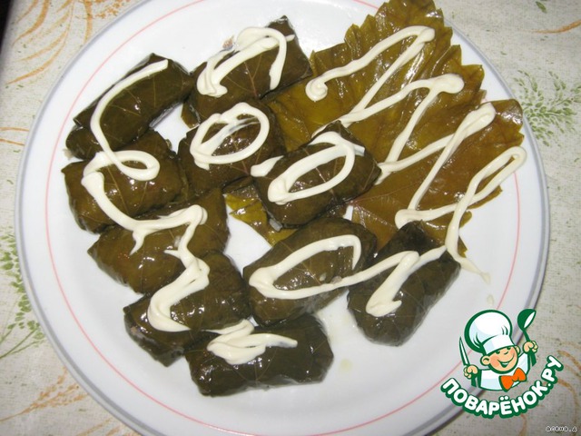 Cabbage rolls with grape leaves