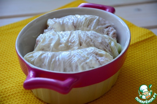 Cabbage rolls with NAPA cabbage