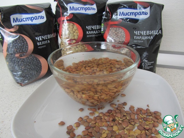 Salads with sprouted lentils