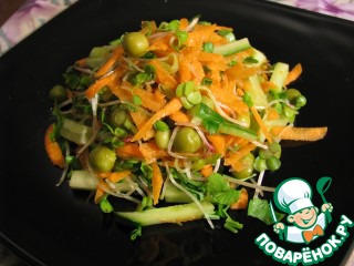 Salad with radish sprouts