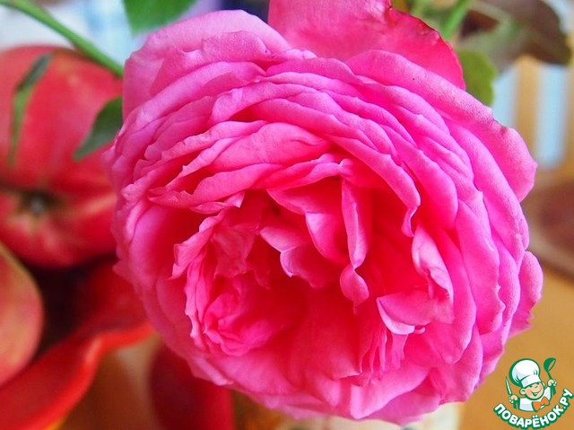 Рулет из тыквы