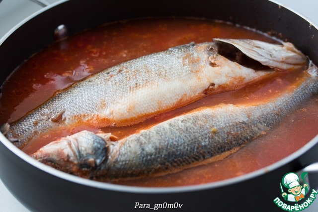 Sea bass in tomato sauce