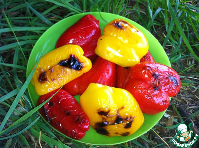 Mixed grill for a picnic