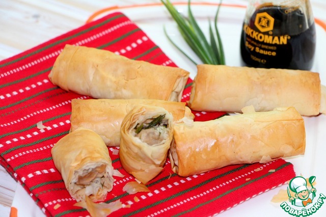 Pies of Filo pastry with chicken