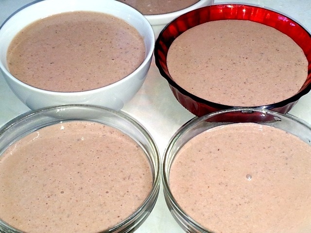 Cottage cheese-sour cream dessert with cherries and cream