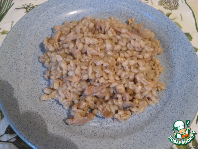 Barley porridge with mushrooms and chicken