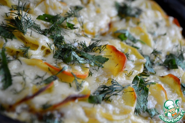 Potato gratin with white sauce