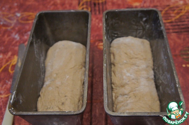 step-11
