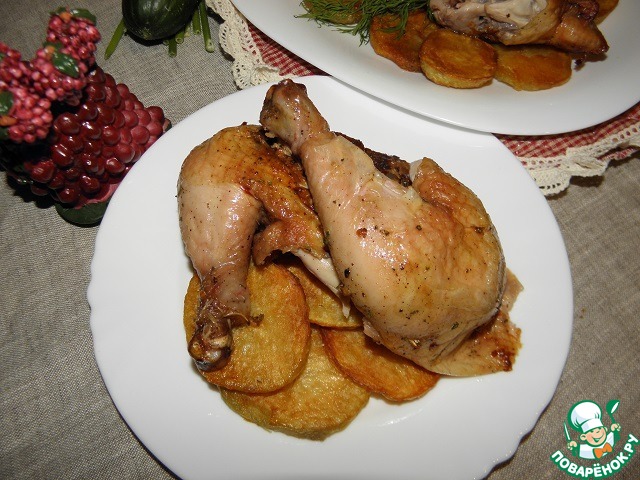 Nice chick