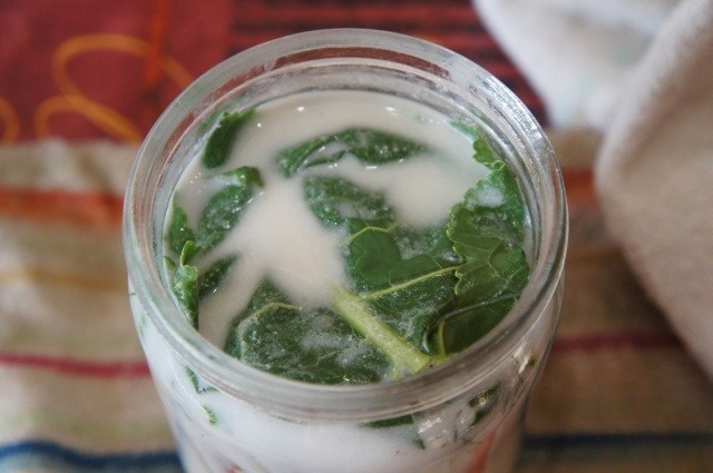 Mushrooms, marinated with sour cream