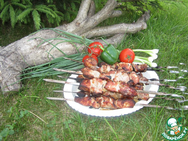 Shish kebab 