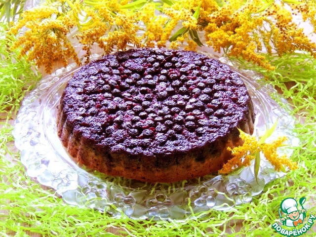Oatmeal pie-Changeling 