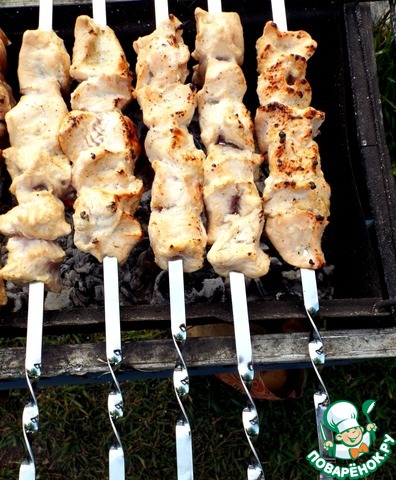 Turkey kebab in a spicy marinade