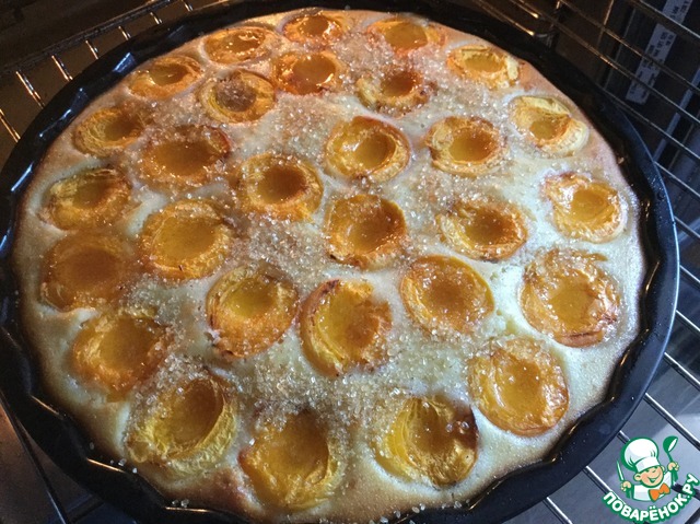 Pie with apricots
