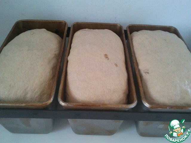 step-11