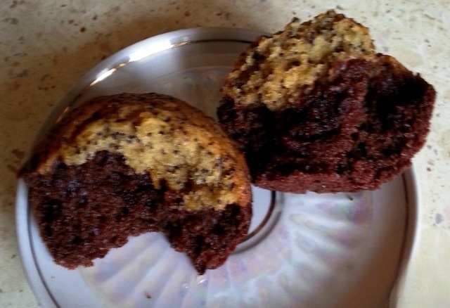 Muffins adult 