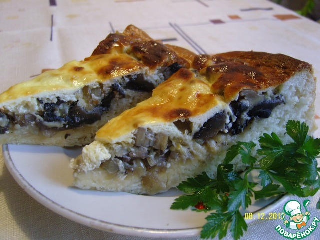 Mushroom pizza-pie