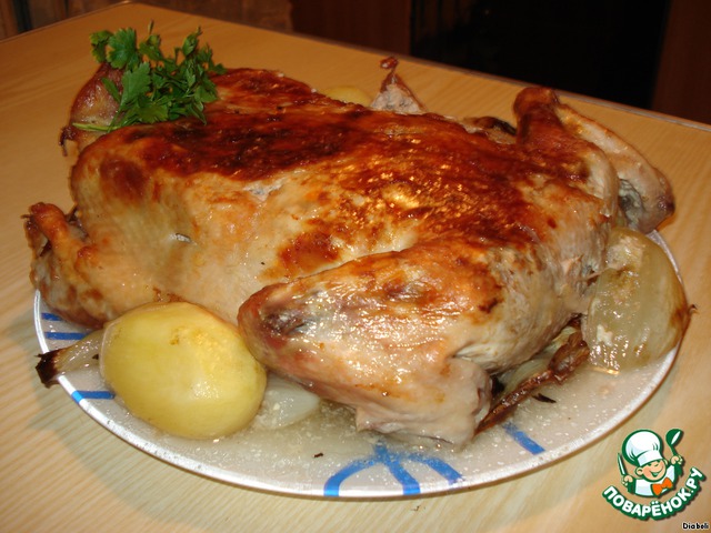 Chicken 
