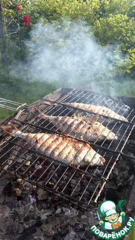 Dorado in the salt coat with cilantro