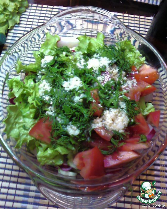 Homemade chicken kebab with salad
