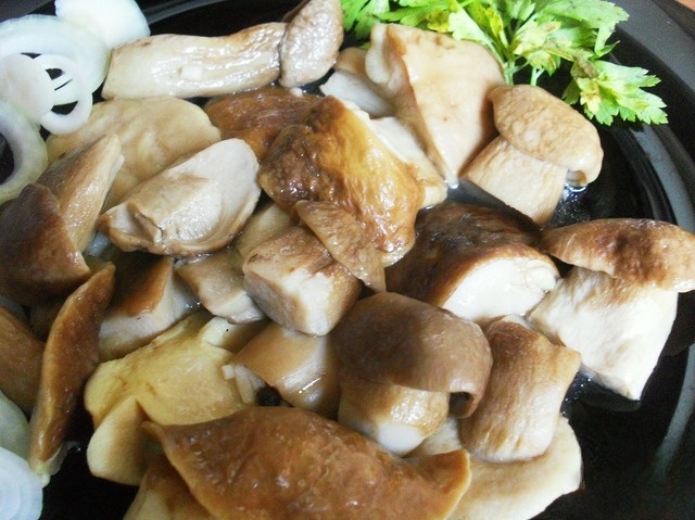 Mushrooms-Venezuelan