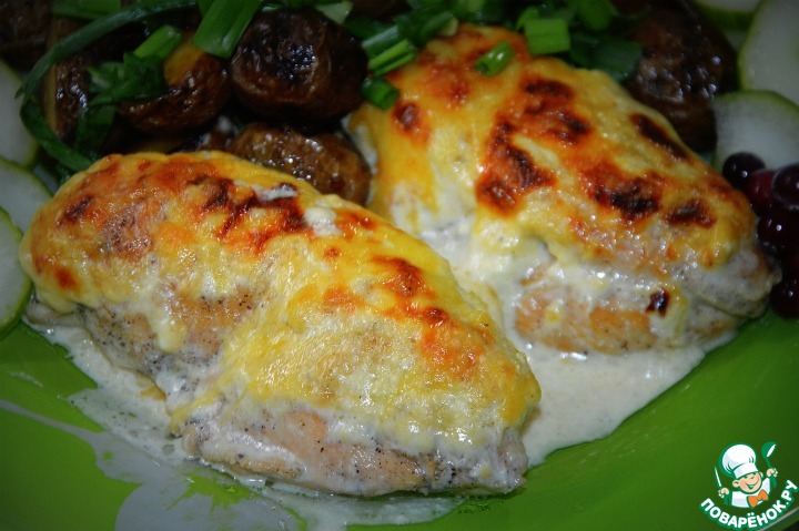 Chicken fillet in a creamy sauce