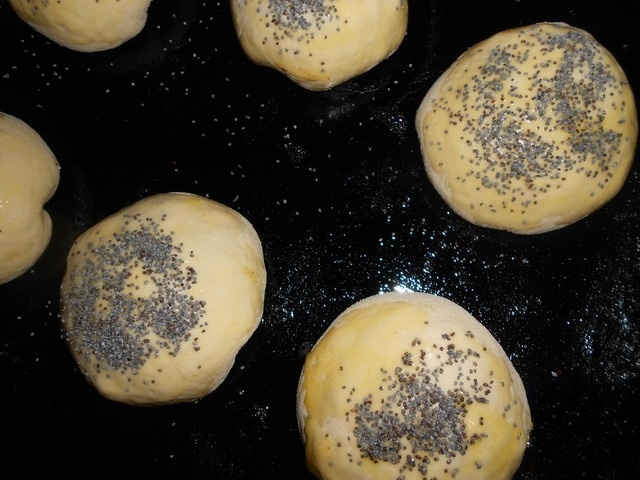 step-6
