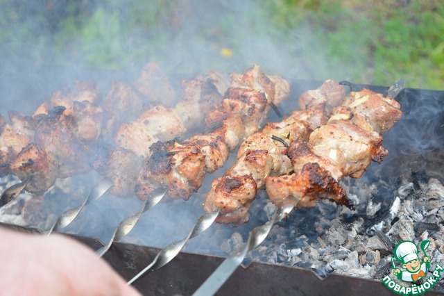 Skewers with grainy mustard