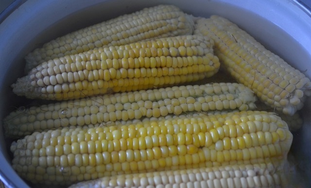 Boiled corn