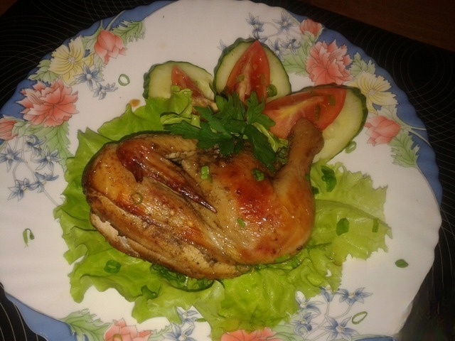 Chickens Karnishony sleeve