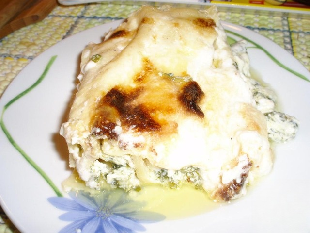 Cannelloni with spinach and cheese