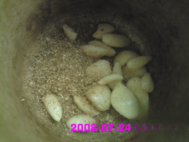 step-2