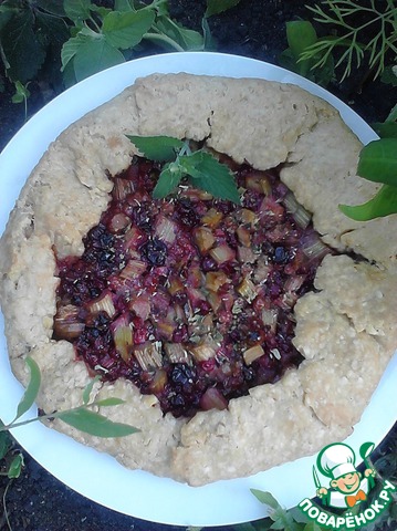 Biscuit with rhubarb and cranberries