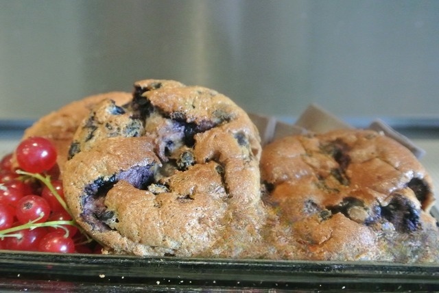 Blueberry muffins