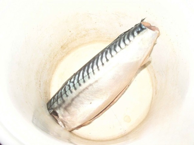 step-5