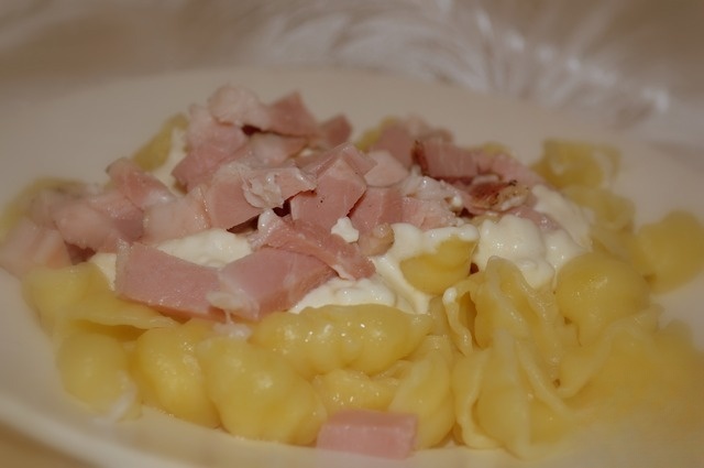 Shells in a cheese and cream sauce