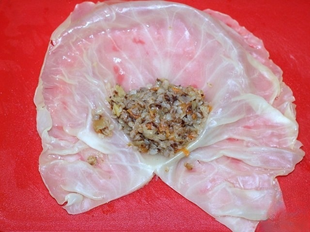 step-6
