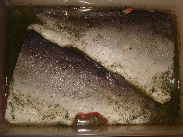 step-5