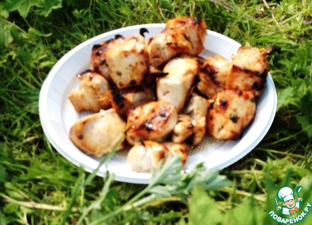 Chicken skewers in Thai marinade