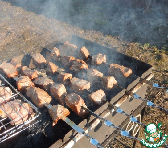 Beef, marinated in pomegranate juice