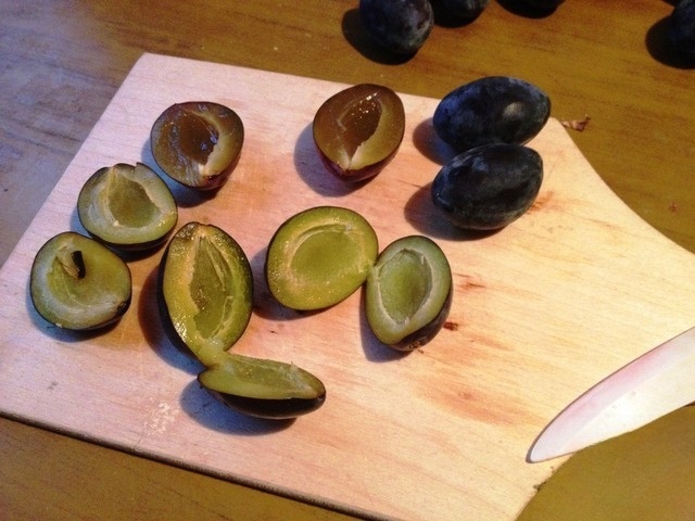 step-4