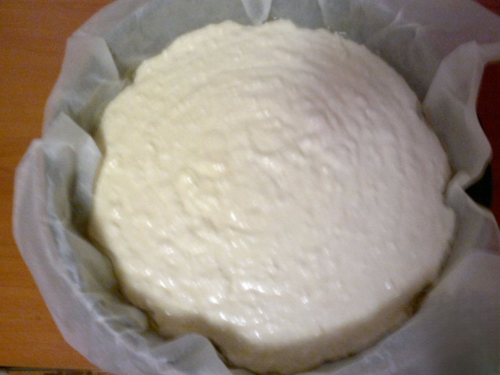 step-11