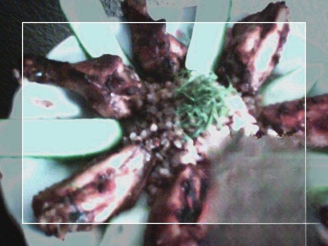 Куриные крылья в медово-гранатовом маринаде